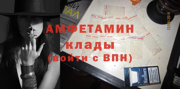 ПСИЛОЦИБИНОВЫЕ ГРИБЫ Дмитров