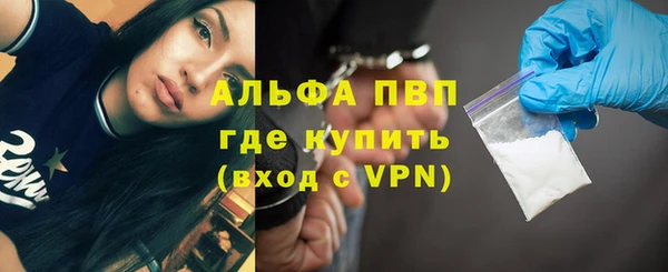 ПСИЛОЦИБИНОВЫЕ ГРИБЫ Дмитров