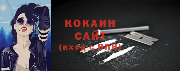 ПСИЛОЦИБИНОВЫЕ ГРИБЫ Дмитров