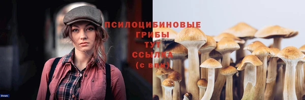 крисы Дмитриев