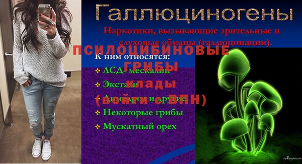 ПСИЛОЦИБИНОВЫЕ ГРИБЫ Дмитров