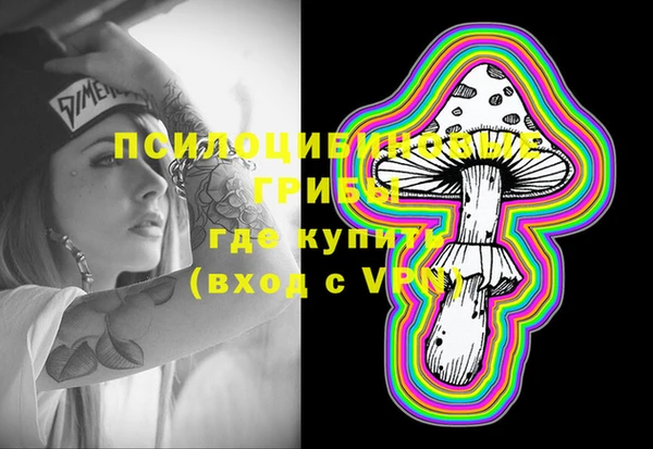 ПСИЛОЦИБИНОВЫЕ ГРИБЫ Дмитров