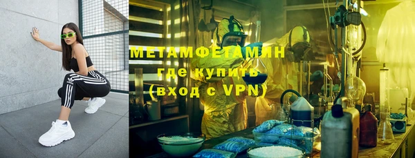 ПСИЛОЦИБИНОВЫЕ ГРИБЫ Дмитров