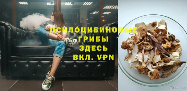 крисы Дмитриев