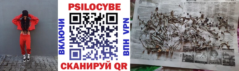 Псилоцибиновые грибы Psilocybe  Карасук 